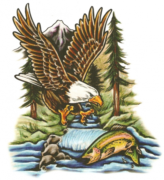 Card image cap